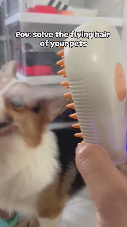 Brosse Massage Auto-Nettoyante & Spray Anti-Poils pour Chiens et Chats